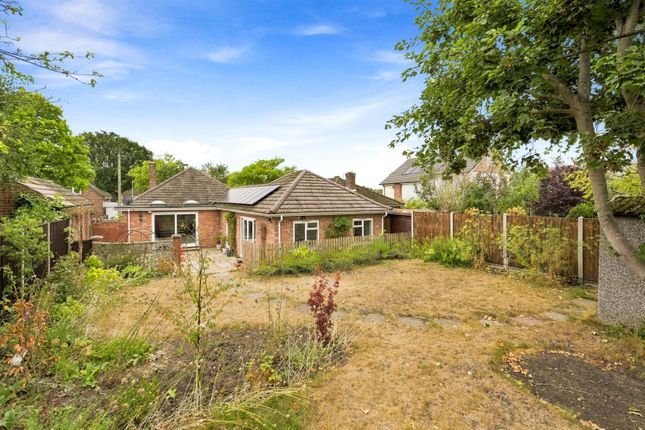 32, Broadhurst Road, Norwich photo 4