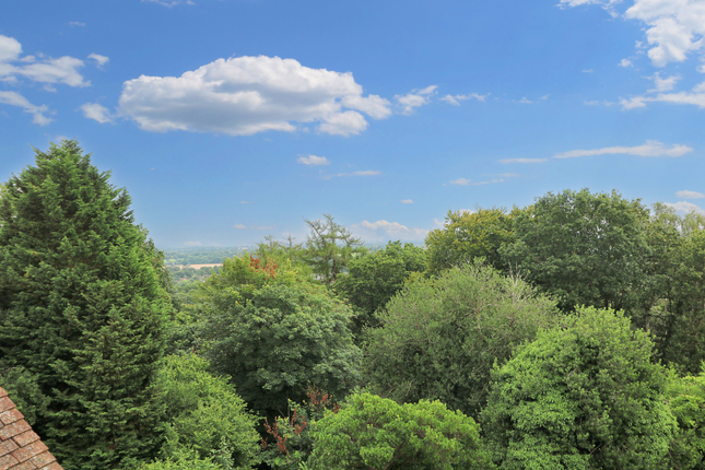 Thumbnail Penthouse for sale in Goodwyns Place, Dorking