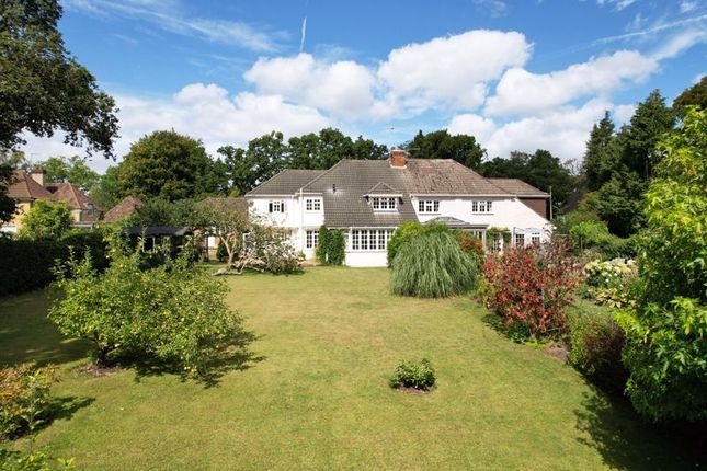 Semi-detached house to rent in Furze Hill, The Sands, Farnham