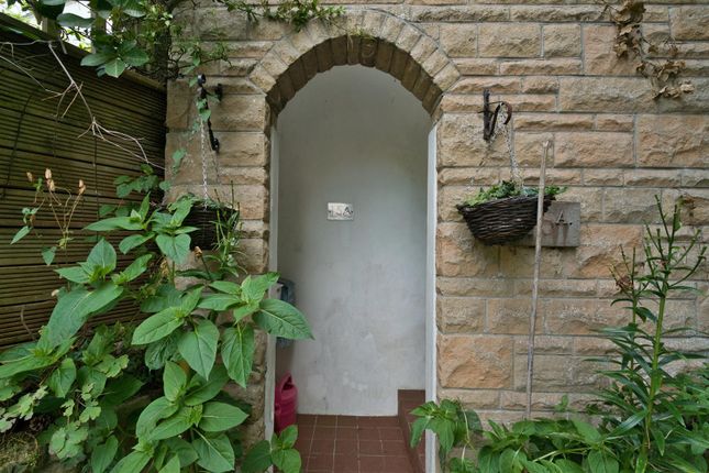 Dsc08785.Jpg