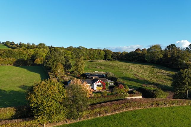 Clayhanger Lane, Wadeford TA20, Chard photo 2