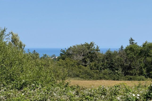Ravenscroft, Blaenporth, Cardigan photo 3