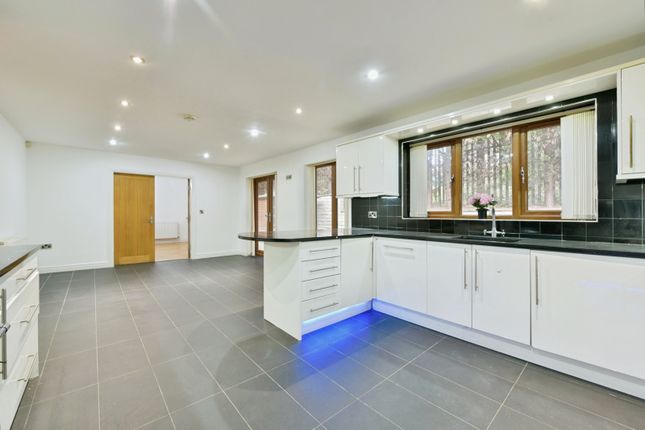 66, Pollard Avenue, South Yorkshire photo 3