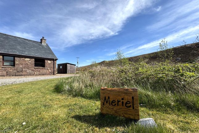 Meriel, Sand, Achnasheen photo 3