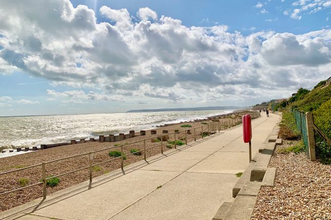 Beach Hut 3, South Cliff, Bexhill-on-sea photo 5