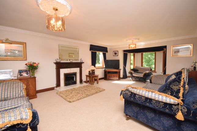 Ericht Braes, Balmoral Road, Blairgowrie photo 4