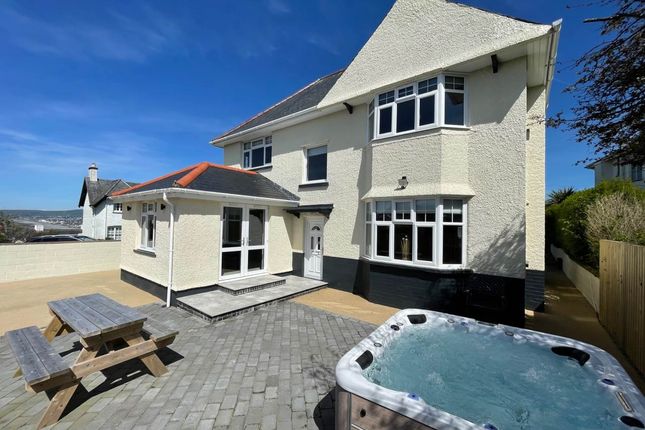Borth photo 4