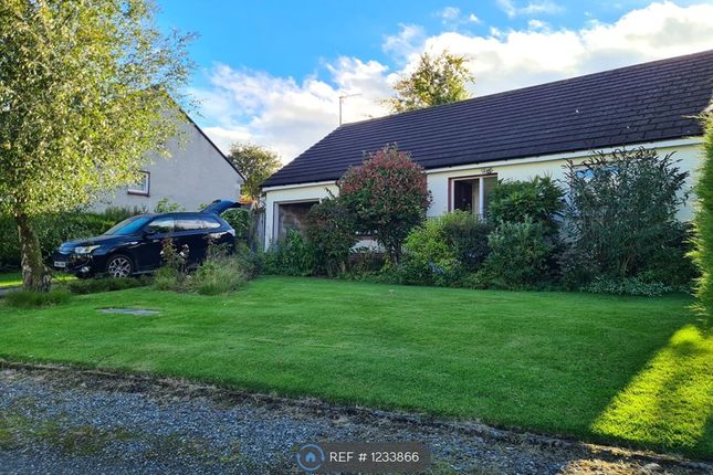 Thumbnail Bungalow to rent in Culbowie Crescent, Stirling