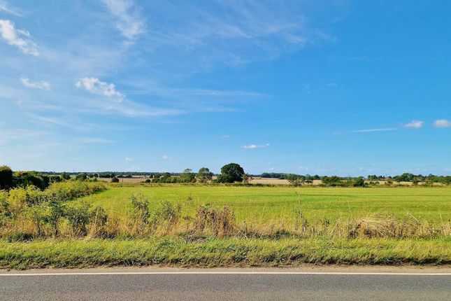 Maetree, Colchester Road, Thorpe-le-Soken photo 2