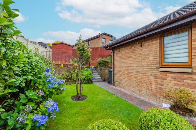 7, South Dumbreck Road, Glasgow photo 4