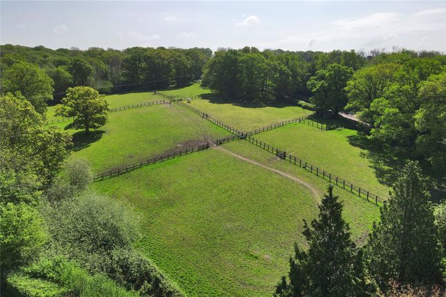 Paddocks