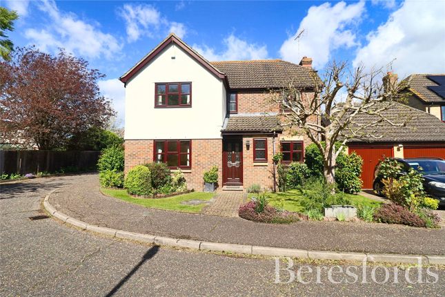Detached house for sale in Great Godfreys, Writtle