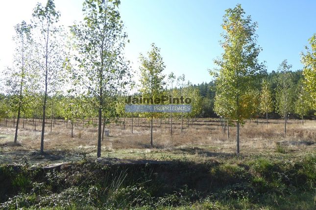 Thumbnail Farm for sale in Colmeal, Portugal