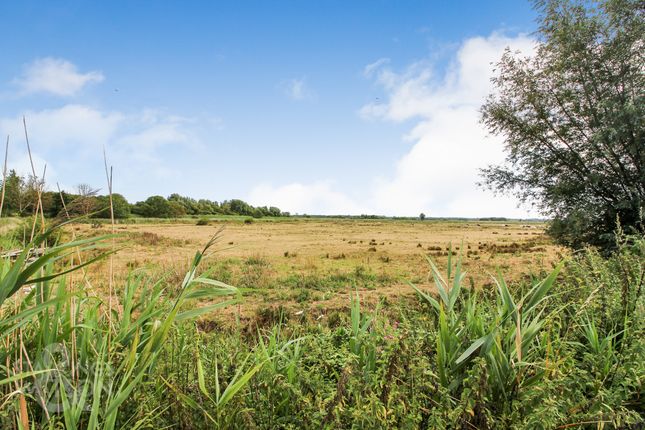 Cottage for sale in Staithe Road, Burgh St. Peter, Beccles