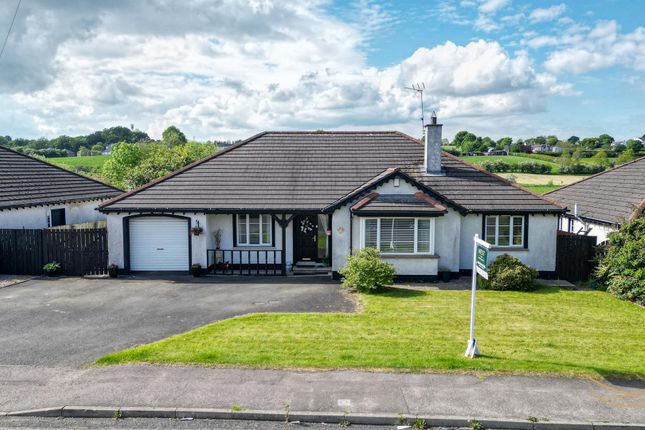 Thumbnail Detached bungalow for sale in Henryville Manor, Ballyclare