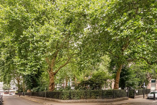 14,, Red Lion Square, Bloomsbury, London photo 3