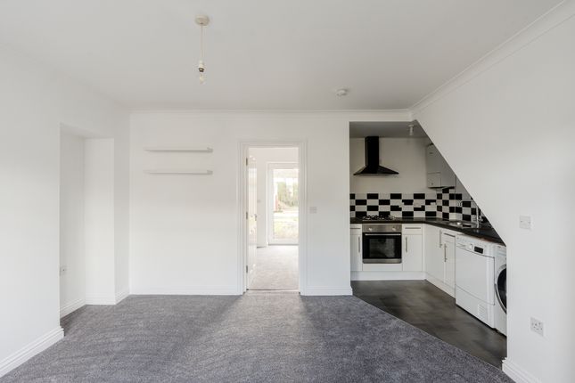 Garden Flat, 25 Newbury Road, Bristol photo 3