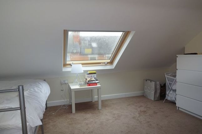 Teversal Avenue, Nottingham photo 4