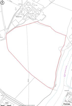 Promap-3081015-3179170-750-0.Jpg