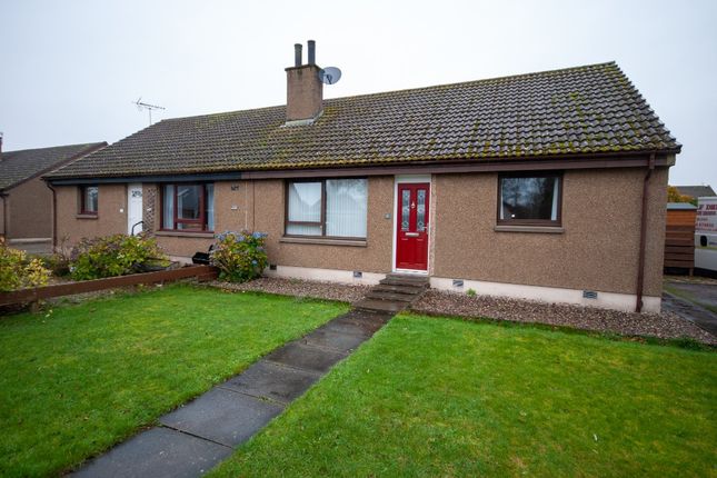 Thumbnail Semi-detached house to rent in St Cyrus, Montrose, Angus