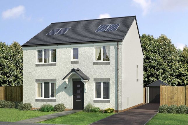 Thumbnail Detached house for sale in "The Thurso" at Bellside Road, Cleland, Motherwell