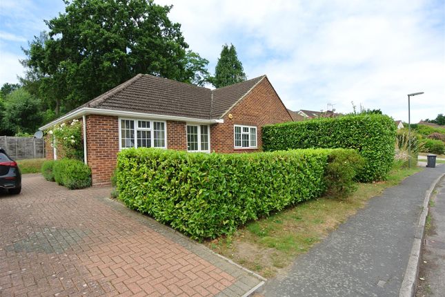 Thumbnail Semi-detached bungalow to rent in Harpesford Avenue, Virginia Water