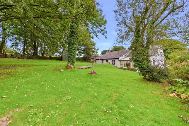 Llandissilio, Pembrokeshire photo 2