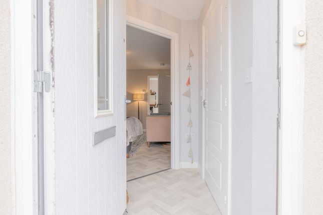 1, Fitzhamon Place, Newport photo 4