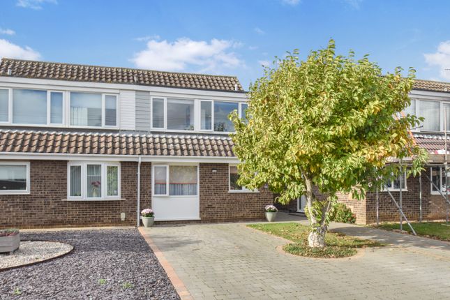 1914374_20251023041846