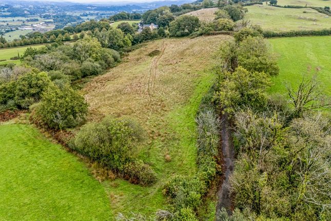 6.91 acres adjoining Plasbach, Llanarthney, Carmarthen photo 2