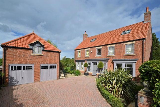 Thumbnail Detached house for sale in Hungate, Bishop Monkton
