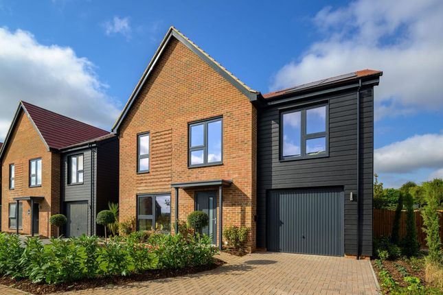 The Shadwell, Number 43