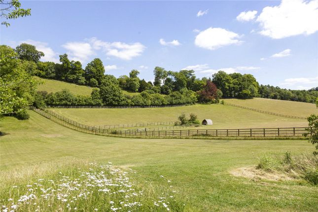 Paddocks