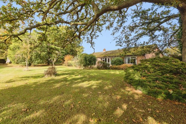 3-bed bungalow on The Street, Norwich, £400,000