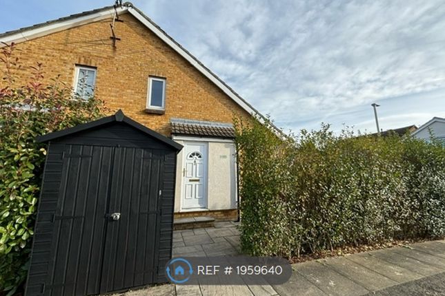 Thumbnail Semi-detached house to rent in Bonington Chase, Chelmsford