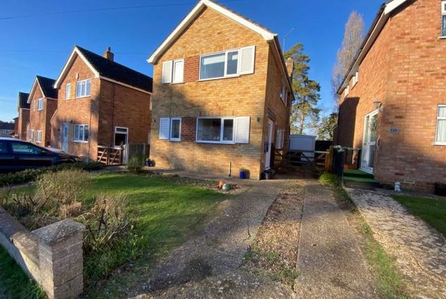 Thumbnail Detached house for sale in Pinetrees, Weston Favell, Northampton