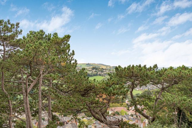 6, Mount Pleasent, Stroud photo 2