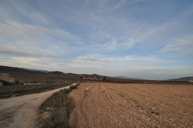 Land for sale in 30529 Cañada Del Trigo, Murcia, Spain
