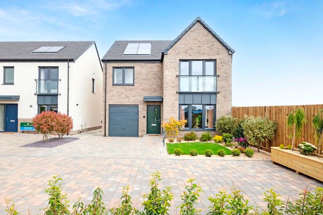 Plot 6/E, Barony Gardens, Whitburn Road, Bathgate, Bathgate photo 3