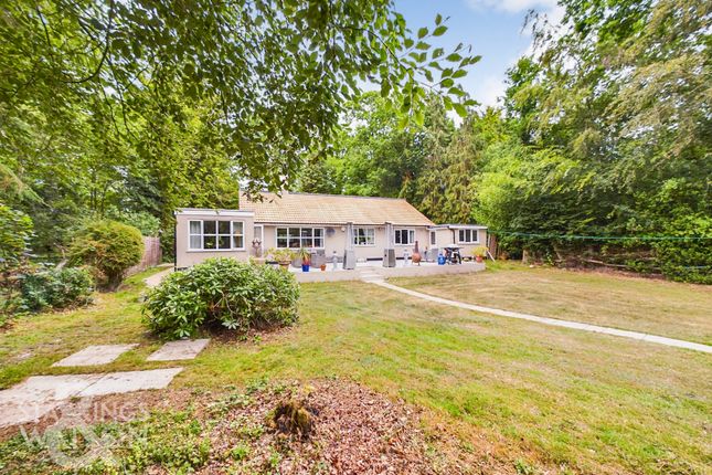 Detached bungalow for sale in Yarmouth Road, Broome, Bungay