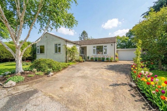 3-bed house on 65 Mill Lane, Ely, £375,000