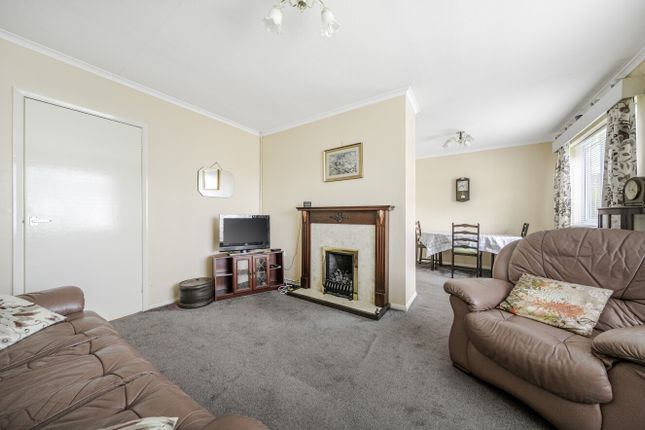 Brynteg, 13, Rhoslan, Welshpool photo 3