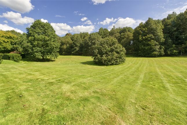 Grounds