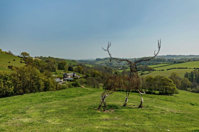 Brushford, Dulverton photo 3