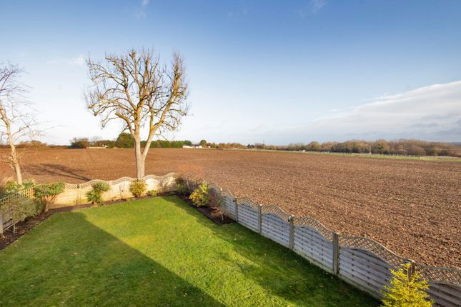 Meadow View, Main Road, Longfield photo 2