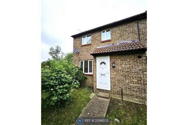 Thumbnail Semi-detached house to rent in Appletrees, Bar Hill, Cambridge