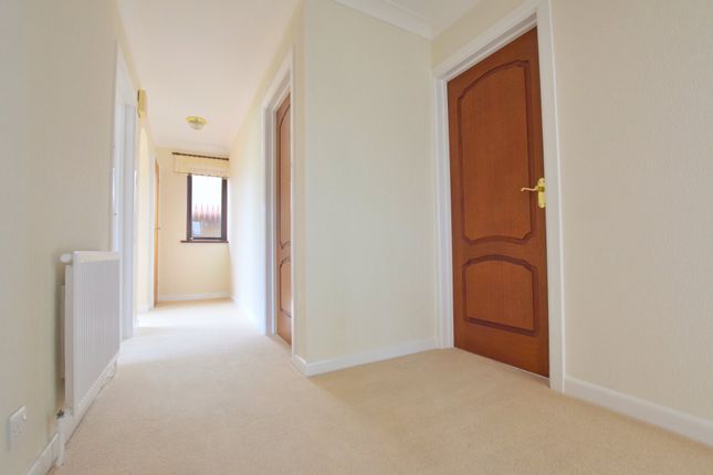 17, St Austell Road, Colchester photo 4