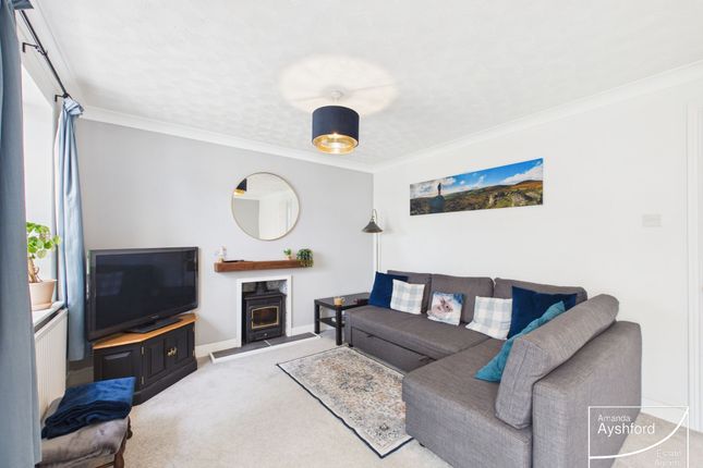 114 Steed Close, Paignton photo 2