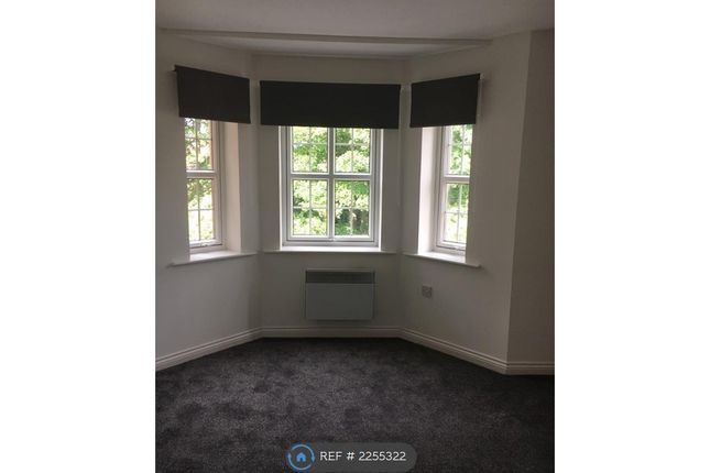 Bay Windows In Living Room