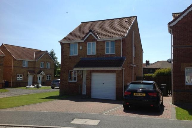Thumbnail Detached house for sale in Holm Hill Gardens, Peterlee, County Durham